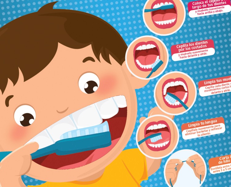 Infografía dientes sanos 2